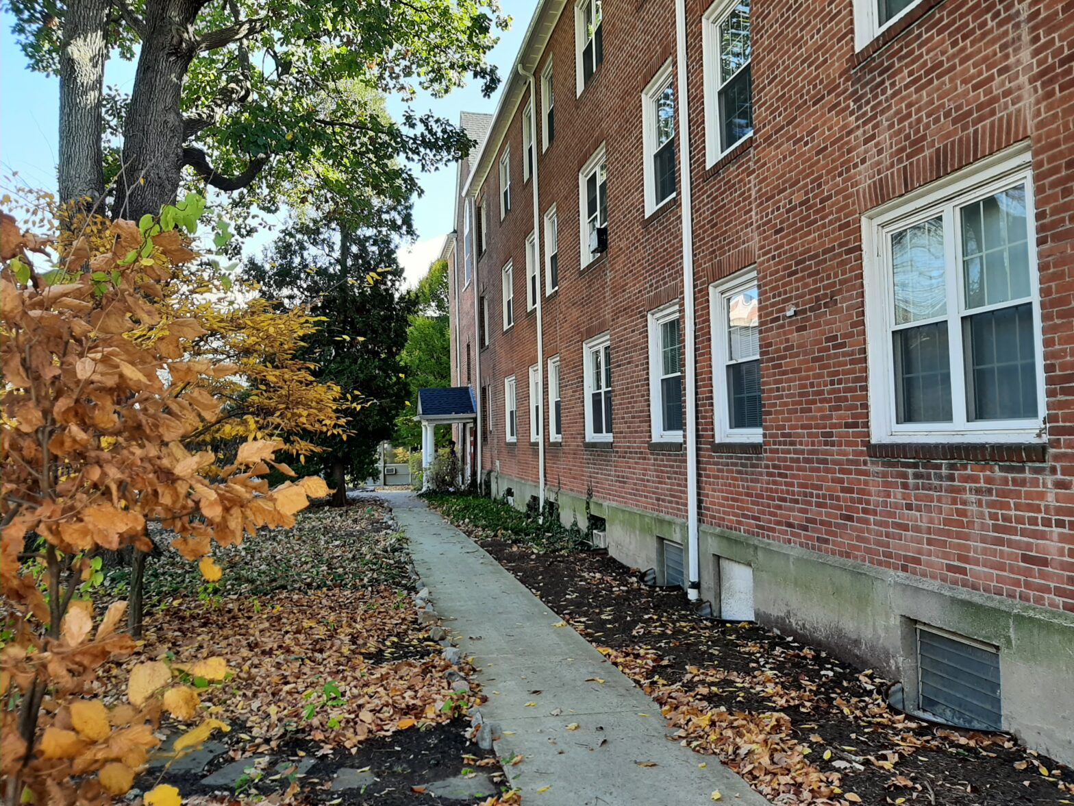 Sidewalk beside a brick apartment building with fallen autumn leaves.