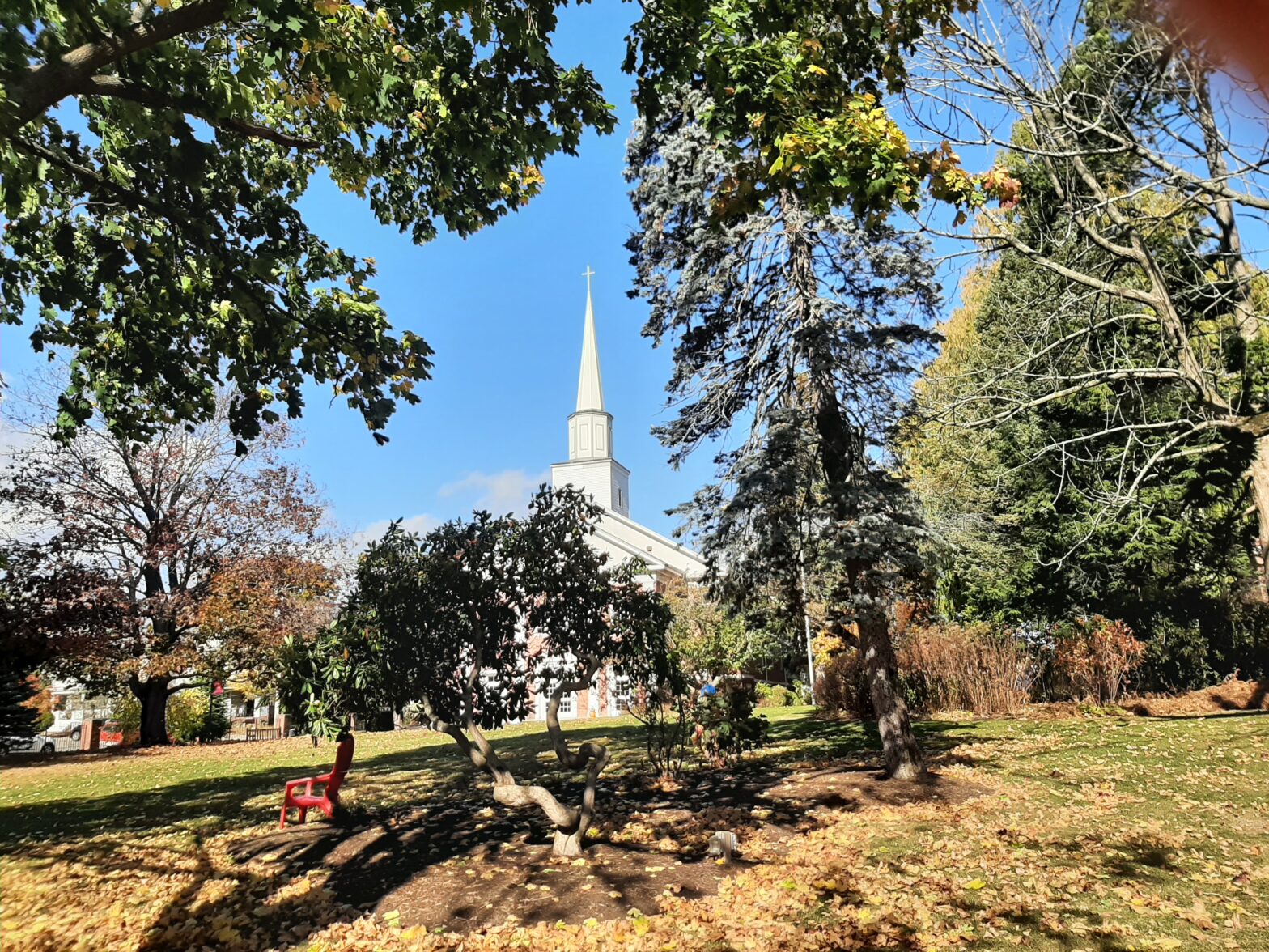 White church steeple framed by trees under a clear blue sky.