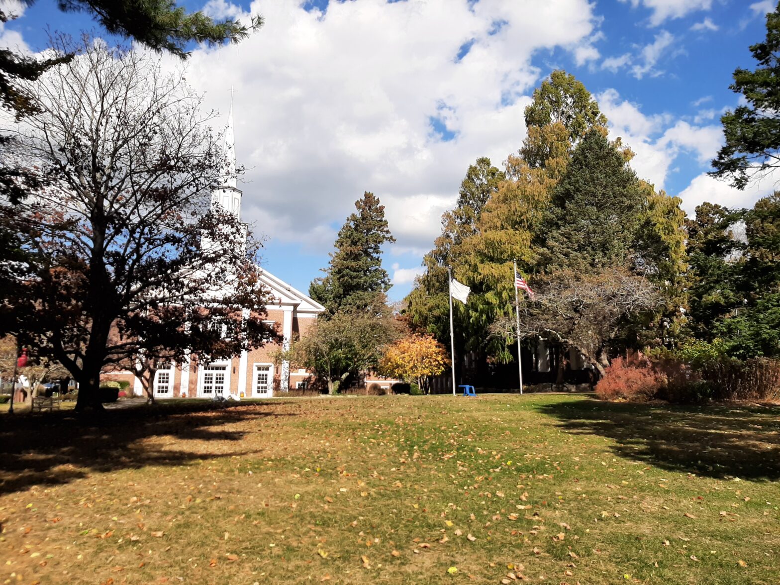 A sunny park with trees and a building under a partly cloudy sky.